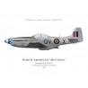 Mustang Mk IV KM118, No 19 Squadron, Royal Air Force, 1945