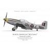 Mustang Mk IVA, F/L Joseph Davidson, No 19 Squadron, Royal Air Force, mai 1945