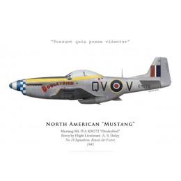 Mustang Mk IVA "Dooleybird", F/L A. S. Doley, No 19 Squadron, Royal Air Force, 1945