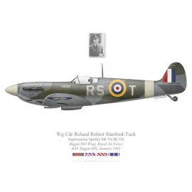 Spitfire Mk Vb, W/C Roland Robert Stanford-Tuck, Biggin Hill Wing, January 1942