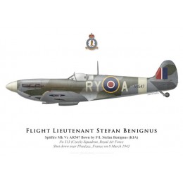 Spitfire Mk Vc, F/L Stefan Benignus, No 313 (Czech) Squadron, Royal Air Force, 1943