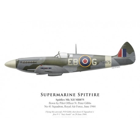 Spitfire Mk XII, P/O N. Peter Gibbs, No 41 Squadron, Royal Air Force, juin 1944
