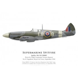 Spitfire Mk XII, F/L Terence Spencer, No 41 Squadron, Royal Air Force, septembre 1944