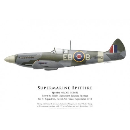 Spitfire Mk XII, F/L Terence Spencer, No 41 Squadron, Royal Air Force, September 1944
