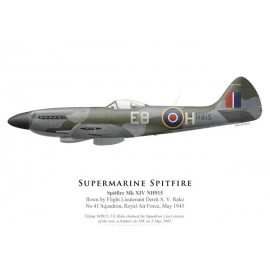 Spitfire Mk XIV NH915, F/L Derek Rake, No 41 Squadron, Royal Air Force, mai 1945