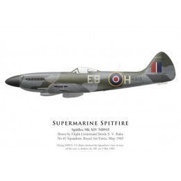 Spitfire Mk XIV NH915, F/L Derek Rake, No 41 Squadron, Royal Air Force, May 1945