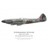 Spitfire Mk XIV NH915, F/L Derek Rake, No 41 Squadron, Royal Air Force, May 1945