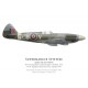 Spitfire Mk XIV RM791, S/L Douglas Benham, No 41 Squadron, Royal Air Force, janvier 1945