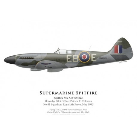 Spitfire Mk XIV SM823, P/O Patrick Coleman, No 41 Squadron, Royal Air Force, May 1945