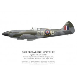 Spitfire Mk XIV SM825, S/L John Sheperd, DFC, No 41 Squadron, Royal Air Force, April 1945
