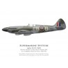 Spitfire Mk XIV SM825, S/L John Sheperd, DFC, No 41 Squadron, Royal Air Force, April 1945