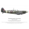 Spitfire Mk VI, P/O Michael Kilburn DFC, No 124 Squadron, Royal Air Force, 1942