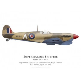 Spitfire Mk VI, High Altitude Flight, No 103 Maintenance Unit, Egypt, 1942