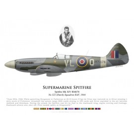 Spitfire Mk XIV, F/S de Vries, No 322 (Dutch) Squadron, Royal Air Force, 1944