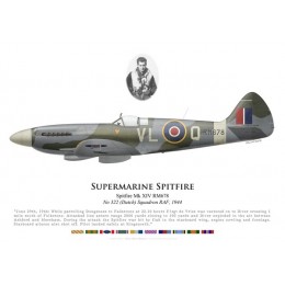 Spitfire Mk XIV, F/S de Vries, No 322 (Dutch) Squadron, Royal Air Force, 1944