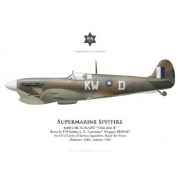 Spitfire Mk Vc "Verna June II", F/O "Lawrence" Weggery (RNZAF), No 615 (County of Surrey) Squadron RAF, Inde, 1944