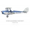 Tiger Moth G-AZZZ