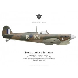 Spitfire Mk Vc "Snifter", F/O Kevin Gannon (RAAF), No 615 (County of Surrey) Squadron RAF, Inde, 1944
