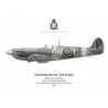 Spitfire Mk VII, F/S Desmond Kelly, No 124 (Baroda) Squadron RAF, 1944