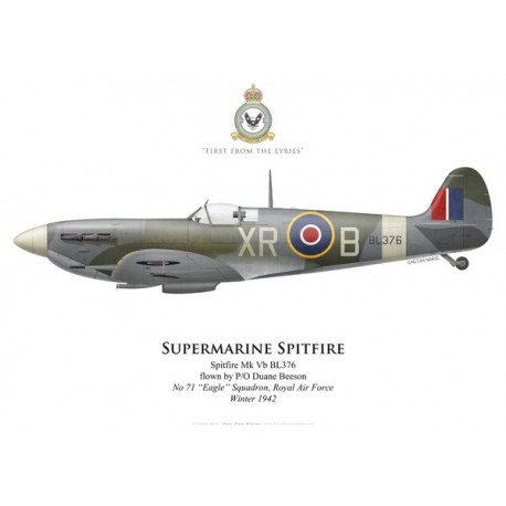 Spitfire Mk Vb, P/O Duane Beeson, No 71 