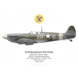 Spitfire Mk Vb, Lt Duane Beeson, 334th Fighter Squadron, 4th Fighter Group, USAAF, 1943