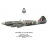 Spitfire Mk 21, F/L Arthur Elcock, No 91 (Nigeria) Squadron, Royal Air Force, 1945