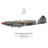 Spitfire Mk 21, No 600 (City of London) Squadron, Royal Air Force, Biggin Hill, 1948