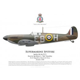 Spitfire Mk IIa, Sgt Robert Beardsley, No 41 Squadron, Royal Air Force, October 1940
