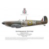 Spitfire Mk IIa, Sgt Robert Beardsley, No 41 Squadron, Royal Air Force, octobre 1940