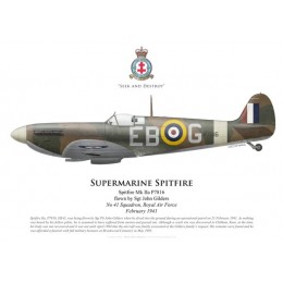 Spitfire Mk IIa, Sgt John Gilders, No 41 Squadron, Royal Air Force, février 1941