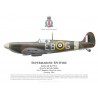 Spitfire Mk IIa, Sgt John Gilders, No 41 Squadron, Royal Air Force, février 1941