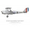 Tiger Moth K2579, Royal Air Force