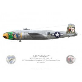 B-25J Mitchell "Lady Lil", Lt Albert Beiga, 498th BS, 345th BG, USAAF