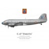 C-47A Dakota, Groupe de Transport 2/64 "Anjou", Than Son Nhut, Indochine