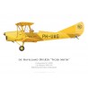 Tiger Moth, Rijksluchtvaartschool, Pays-Bas