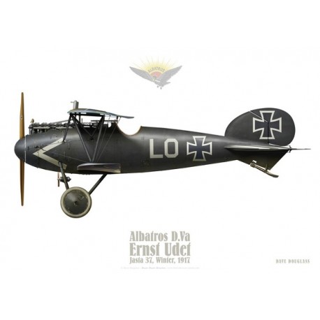 De Gregorio カホン Albatros Medium Albatros D.II, Jasta 