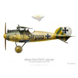 Albatros D.Va, Jasta 46, avril 1918