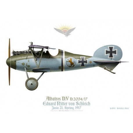 Albatros D.V, Eduard Ritter von Schleich, Jasta 21, printemps 1917