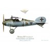 Albatros D.V, Eduard Ritter von Schleich, Jasta 21, printemps 1917