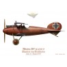 Albatros D.V, Manfred von Richthofen "le Baron Rouge", Jasta 11, 1917