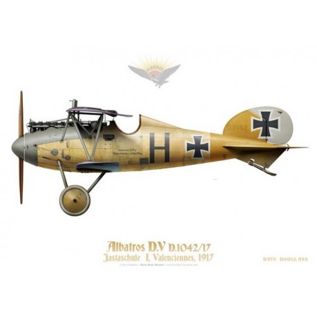 Albatros D.V, Jastachule 1, Valenciennes, 1917