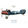 Albatros D.V, Ltn. d. R. Paul Strahle, Harlebecke, novembre 1917