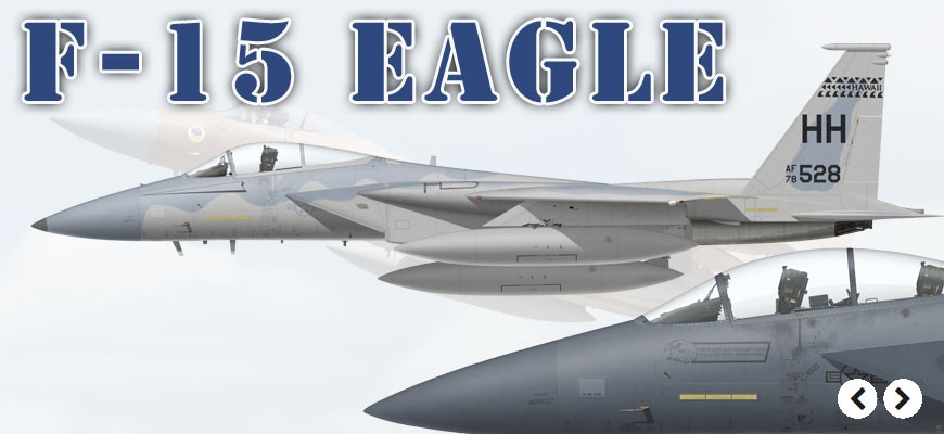 F-15 Eagle & Strike Eagle